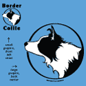 Border Collie Circle Head