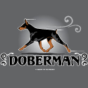 Dobe Movement