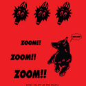 ZoomZoomZoom Belgian Sheepdog