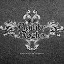 Agility Rocks