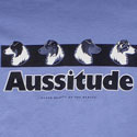 Aussitude