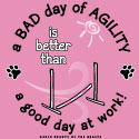A Bad Day of Agility is Better Than a Good Day at Work! (new version)