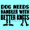 Dog Needs Handler with Better Knees