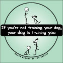 If You're Not Training Your Dog, Your Dog is Training You