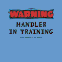 Warning--Handler in Training